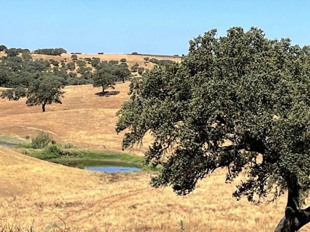 Solar venda em Cabeça Gorda, Beja