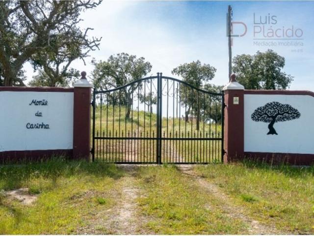 Commercial Land venda em Grândola, Santa Clara
