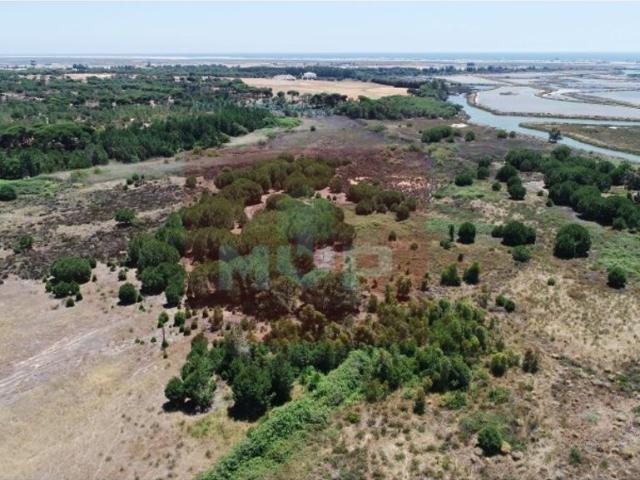 Solar venda em Quinta do Eucalipto, Faro