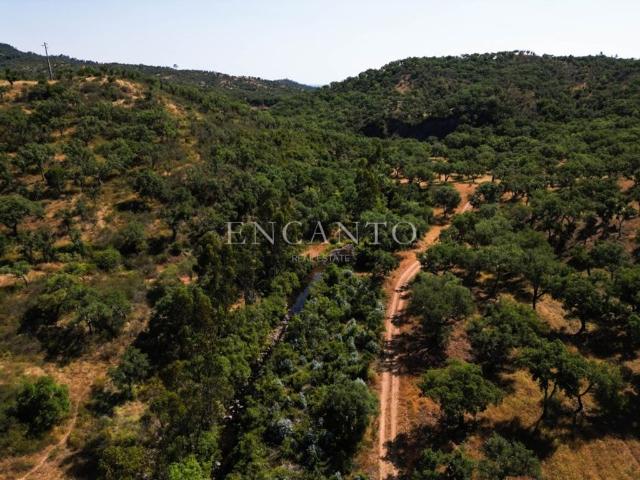Solar venda em Grândola, Setúbal