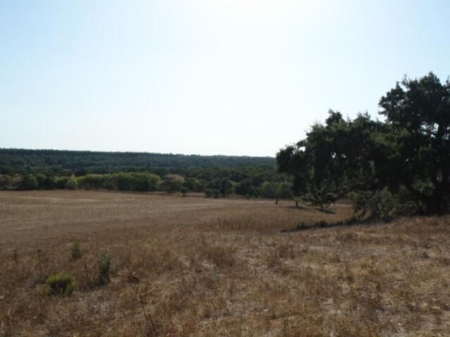 Solar venda em Santiago Do Cacém, Setúbal