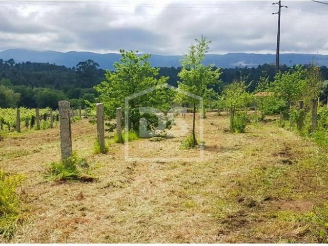 Solar venda em Valença, Viana Do Castelo