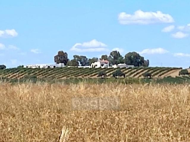 Solar venda em Mourã, Beja