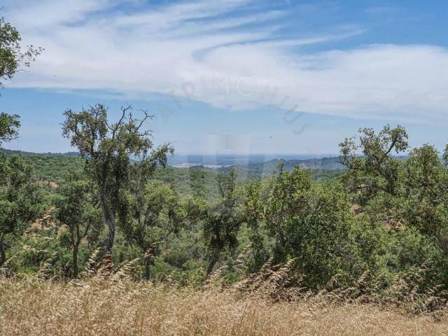 Solar venda em Grândola, Setúbal