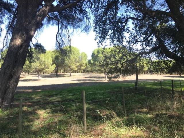 Solar venda em Setúbal