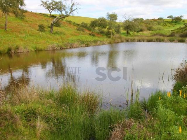 Solar venda em Serpa, Beja