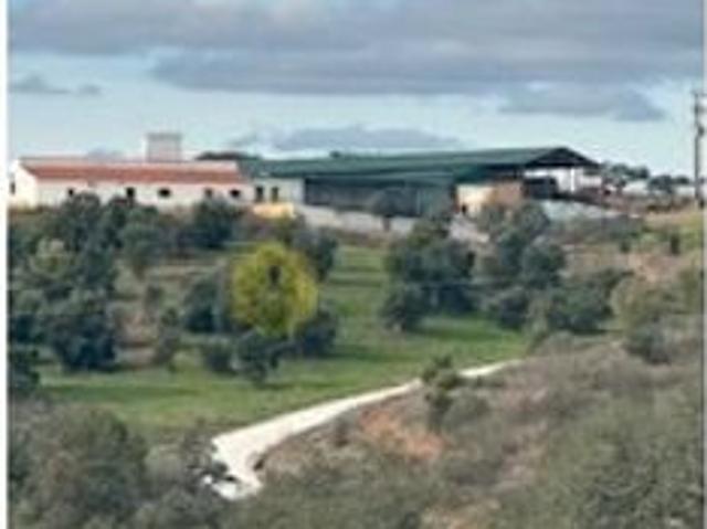 Solar venda em Reguengos De Monsaraz, Évora