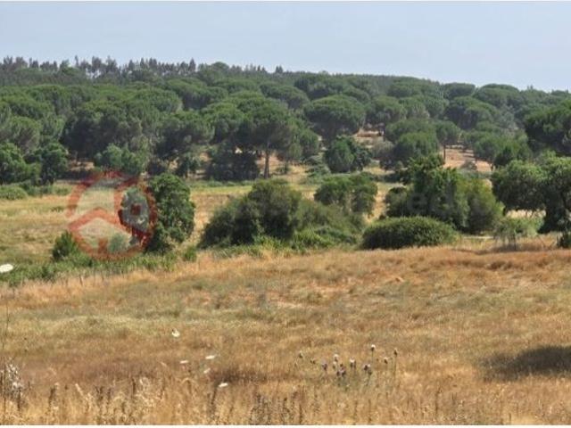 Commercial Land venda em Montemor-o-novo, Cabrela