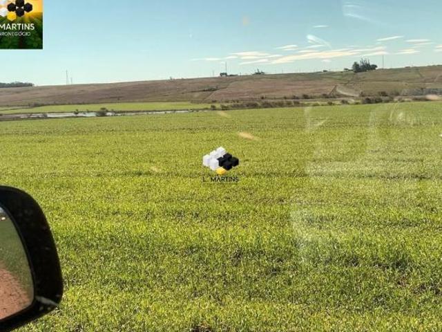 Sítio e chácara venda em Região Geográfica Imediata de Uruguaiana, Alegrete