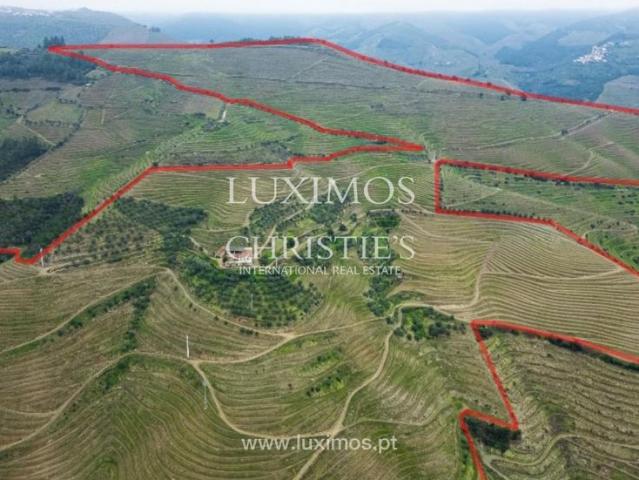 Commercial Land venda em Guiães Commercial Land venda em Guiães