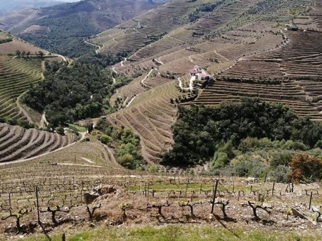 Solar venda em Vila Real