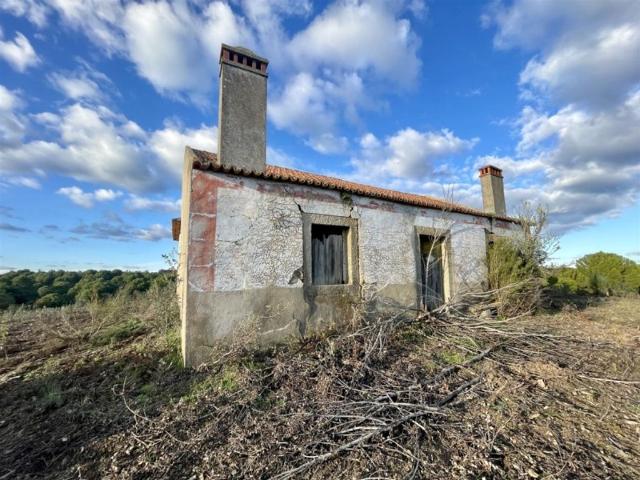 Solar venda em Castelo Branco