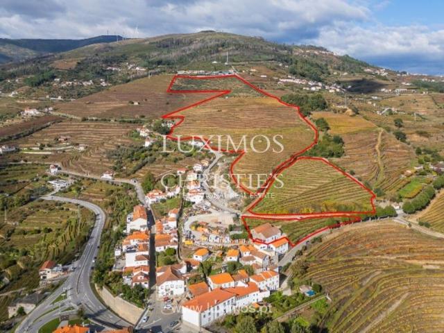 Solar venda em São Nicolau, Vila Real