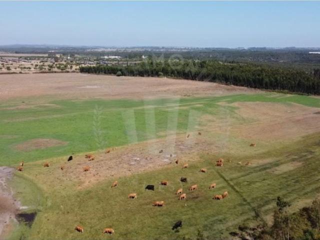 Solar venda em São Teotónio, Odemira