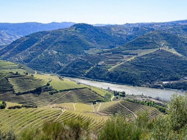Solar venda em Peso Da Régua, Vila Real