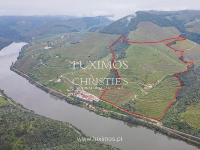 Commercial Land venda em Provesende Commercial Land venda em Provesende