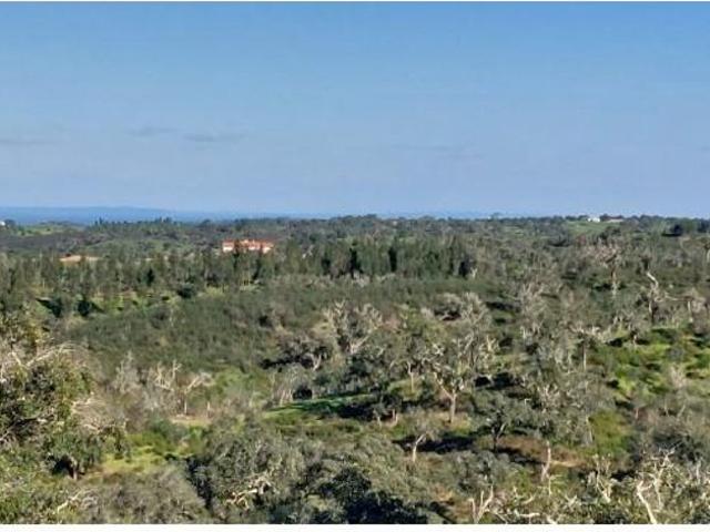 Commercial Land venda em Grândola