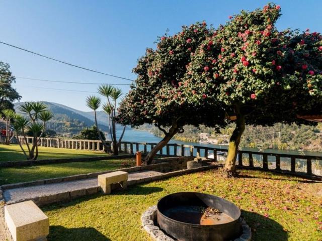 Terreno venda em Castelo De Paiva, Aveiro
