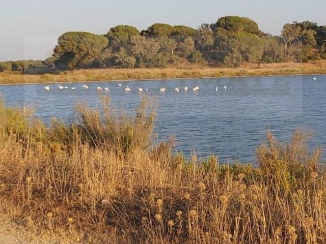 Solar venda em Setúbal