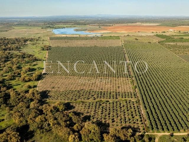 Solar venda em Sousel, Portalegre