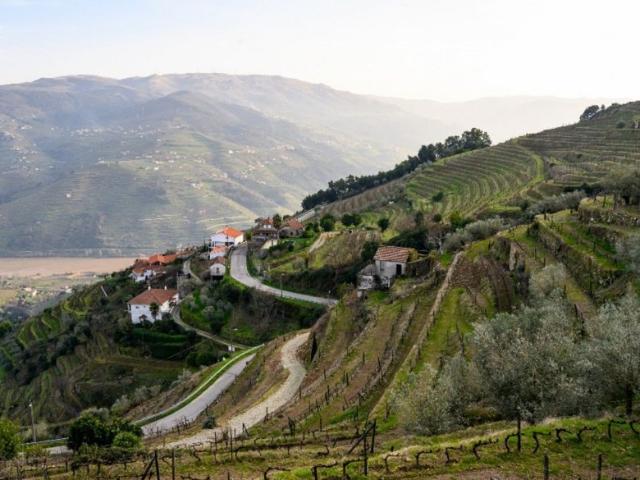Solar venda em Vila Real