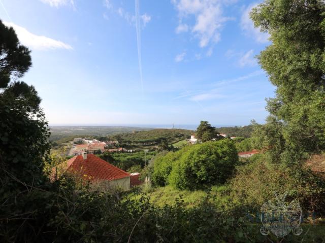 Terreno venda em Quinta de São Martinho, Cascais