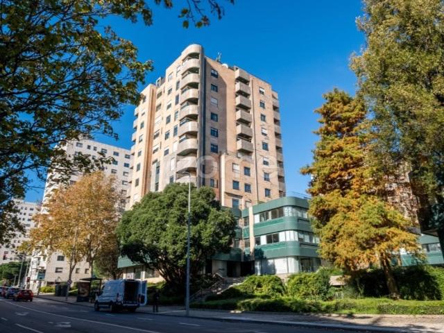Apartamento venda em Campinas, Porto