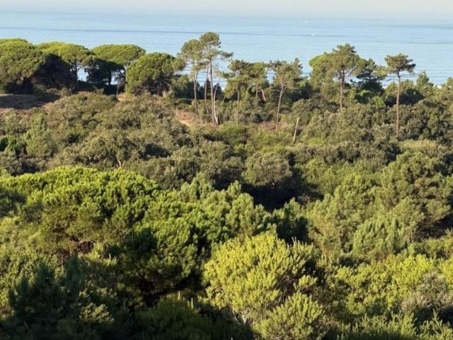 Apartamento venda em Quinta do Texugo, Almada
