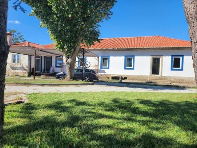Casa venda em Trofa, Segadães e Lamas do Vouga, Águeda