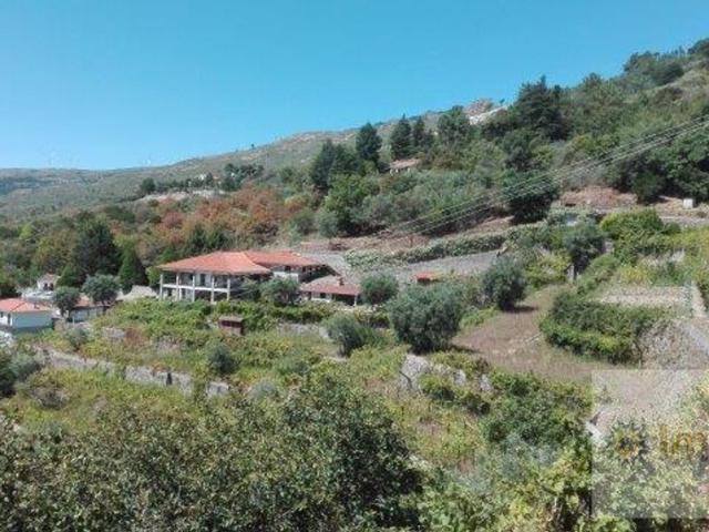Casa venda em Lamego, Viseu