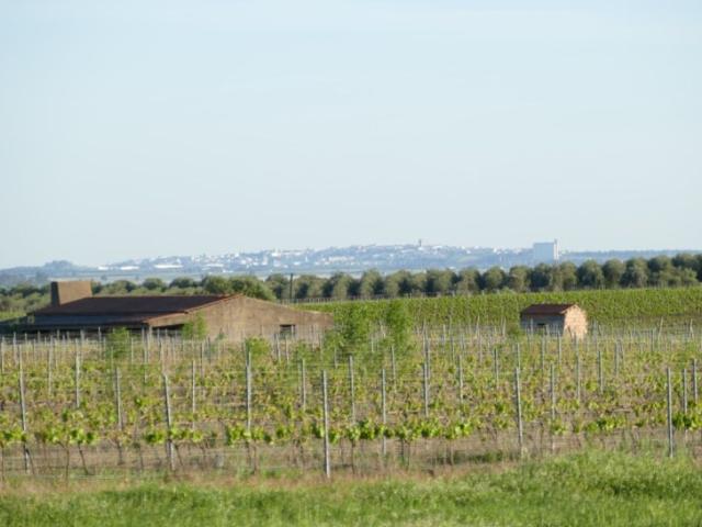 Casa venda em Beja