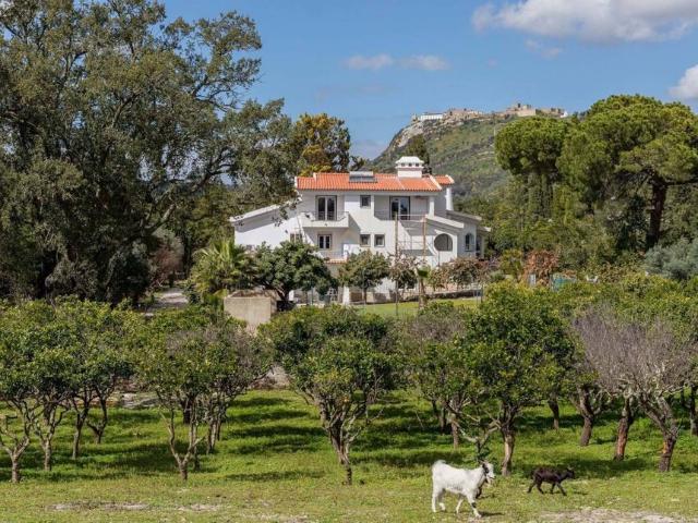 Casa venda em Mira Ventos, Palmela