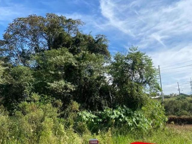 Terreno venda em Região Geográfica Imediata de Pato Branco, Região Sul