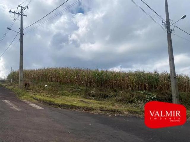 Terreno venda em Região Geográfica Imediata de Pato Branco, Região Sul