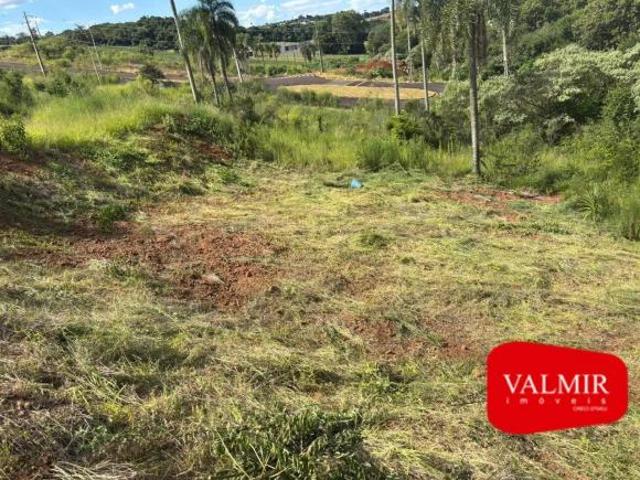 Terreno venda em Região Geográfica Imediata de Pato Branco, Região Sul