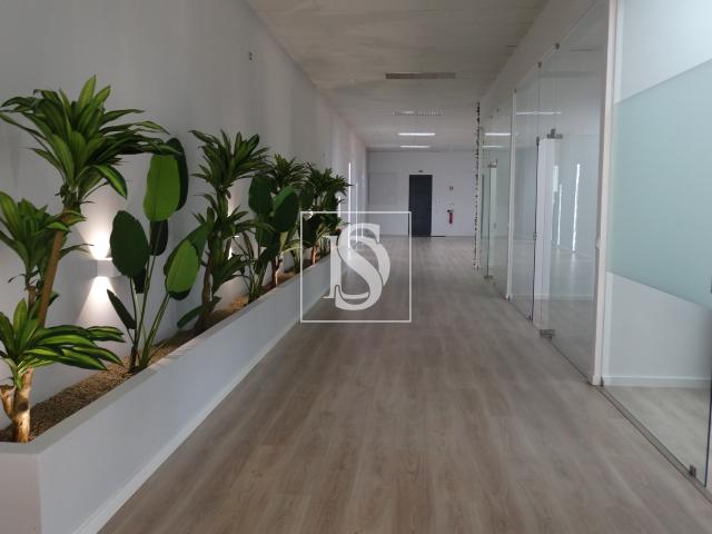 Escritório venda em Amadora, Lisboa