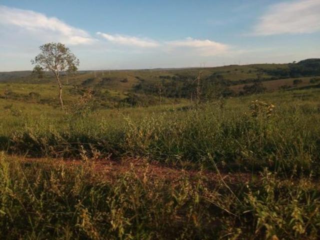 Sítio e chácara venda em Região Geográfica Imediata de Luziânia, Região Integrada de Desenvolvimento do Distrito Federal e Entorno