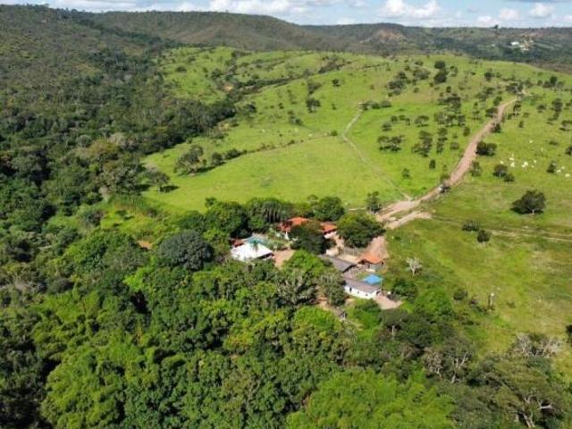 Sítio e chácara venda em Região Geográfica Imediata de Luziânia, Região Integrada de Desenvolvimento do Distrito Federal e Entorno
