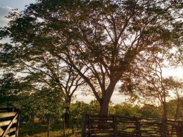 Sítio e chácara venda em Região Geográfica Imediata de Unaí, Urucuia
