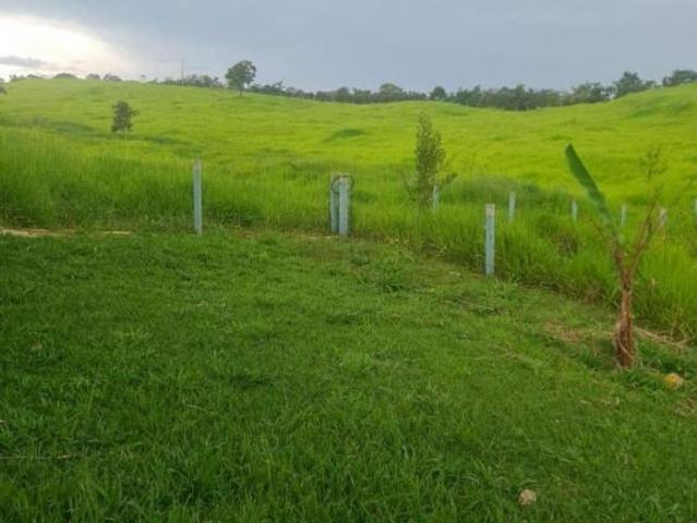 Sítio e chácara venda em Região Geográfica Imediata de Anápolis, Região Integrada de Desenvolvimento do Distrito Federal e Entorno