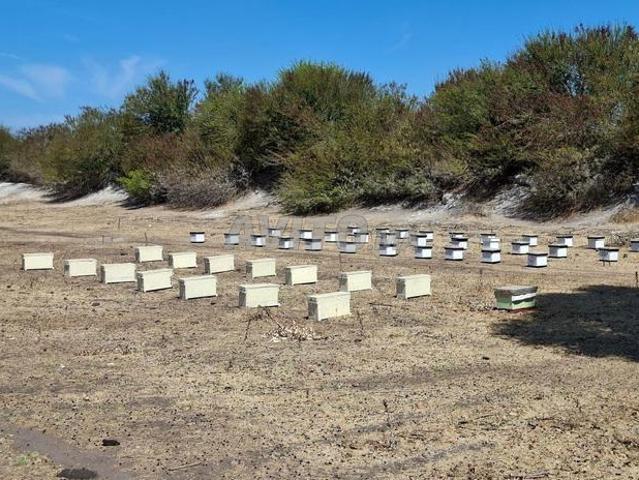 Propriété vente à Lyautey