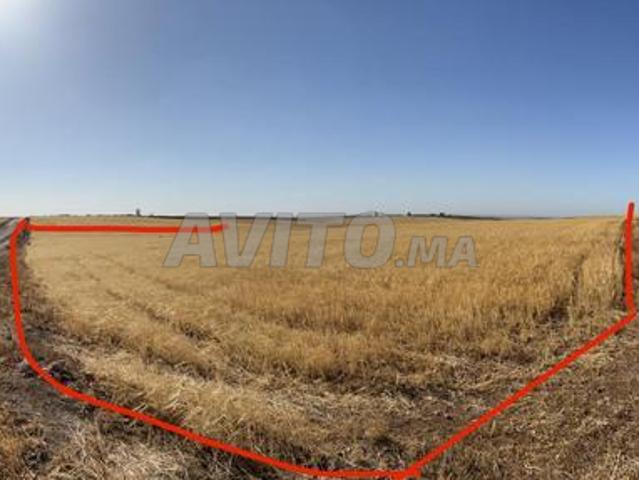 Propriété vente à Settat, Gharb-Chrarda-Beni Hssen