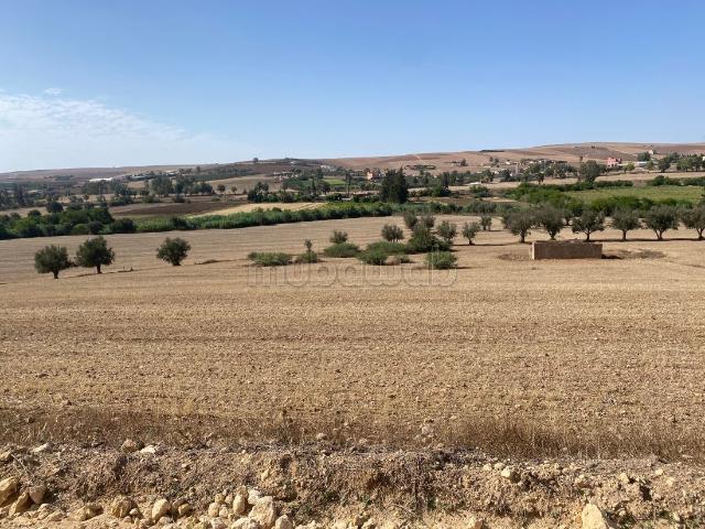 Terrain vente à Ras El Aïn Chaouia, Gharb-Chrarda-Beni Hssen