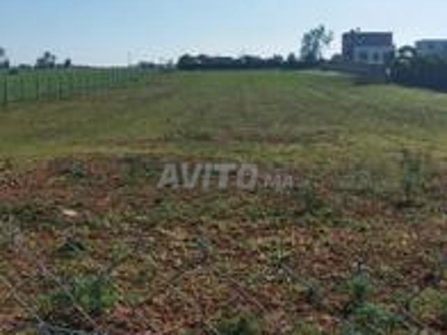 Propriété vente à El Ma, Gharb-Chrarda-Beni Hssen