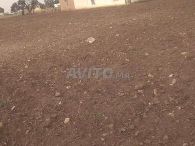 Propriété vente à El Ma, Gharb-Chrarda-Beni Hssen