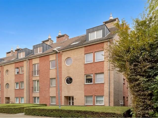 Appartement vente à Aarschot