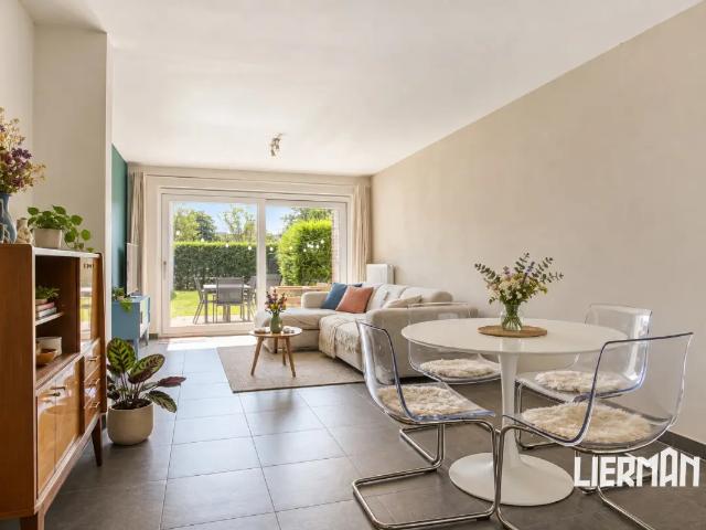 Appartement vente à Aalst