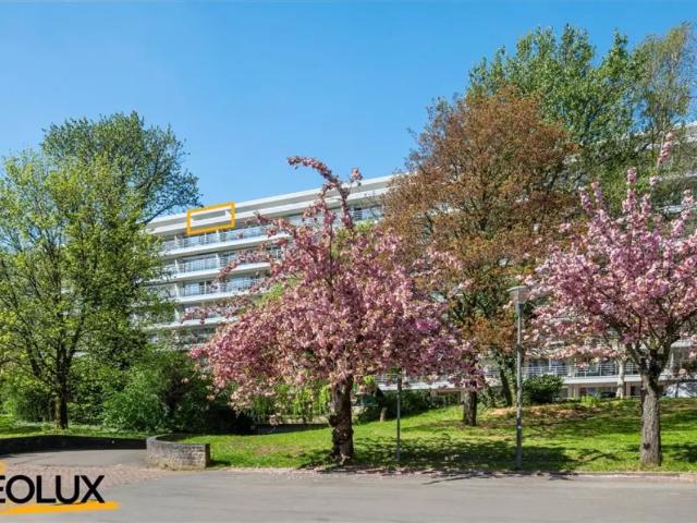 Appartement vente à Anderlecht, Bruxelles