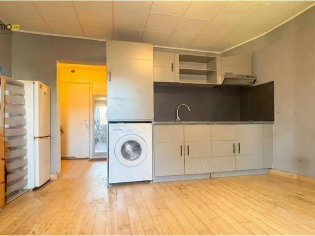 Kot vente à Anderlecht, Bruxelles