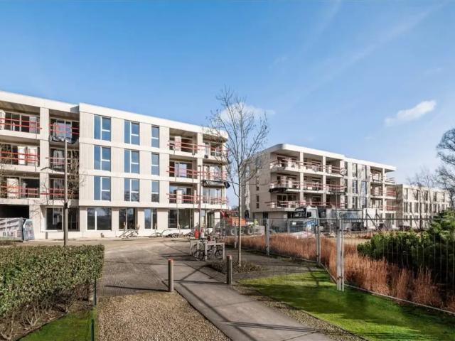 Appartement vente à Antwerpen
